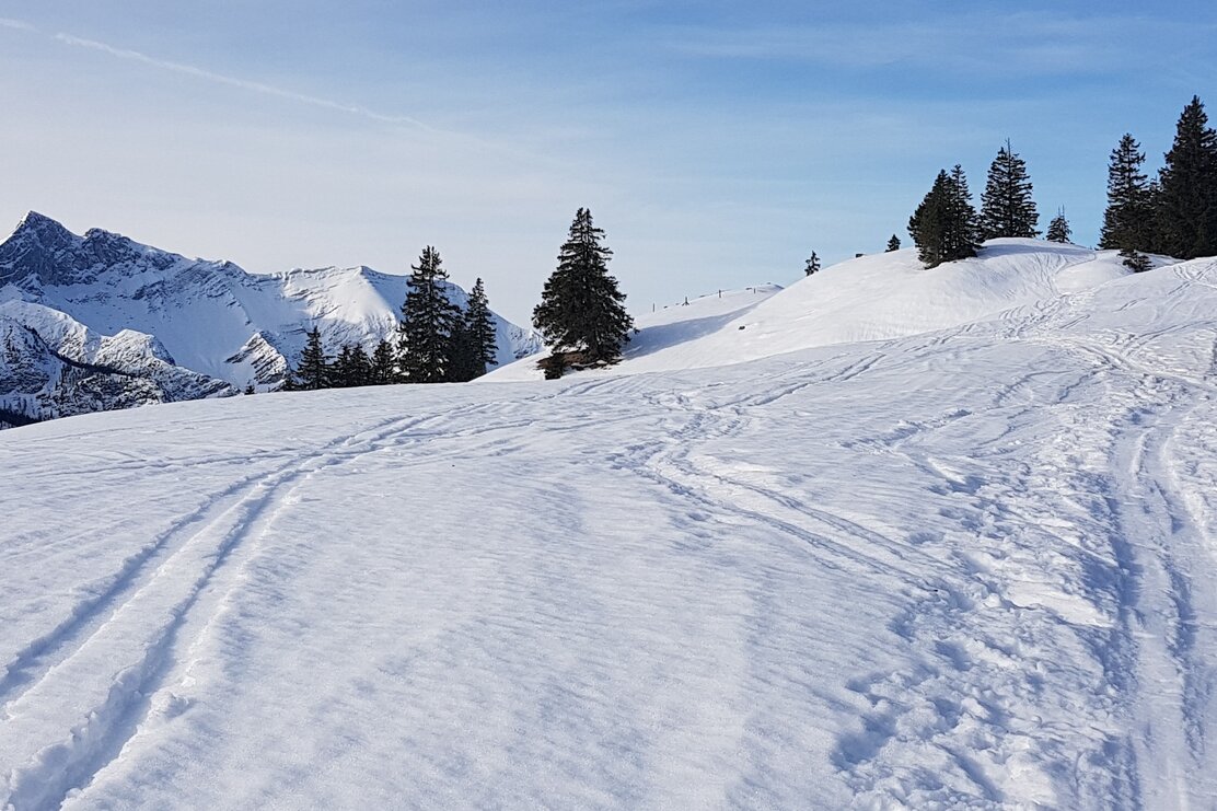 Schneeschuhwanderung Zur Labeggalm Brandenberg Alpbachtal