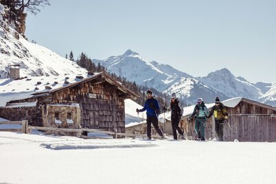 Eine Gruppe, bestehend aus vier Personen, macht eine Schneeschuhwanderung durch Alpbach, vorbei an ein paar Almen  | © Alpbachtal Tourismus | shootandstyle 