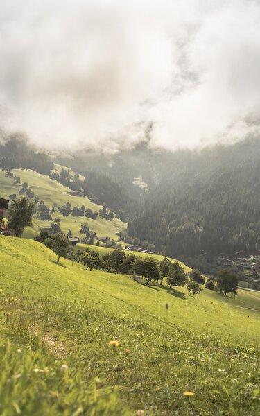 Dieses Bild zeigt den Heimatweg in Alpbach, rundherum grüne Wiesen, im Hintergrund ein altes Bauernhaus | © Alpbachtal Tourismus | shootandstyle 