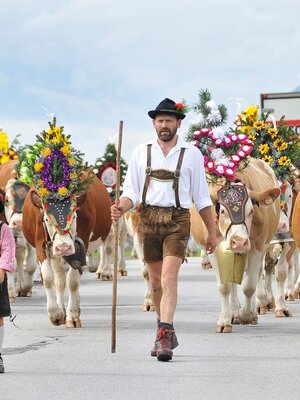 Auf diesem Bild zu sehen ist ein Vater mit seiner Tochter, welche beim Almabtrieb voran gehen, im Hintergrund die schön bunt geschmückten Kühe  | © Alpbachtal Tourismus | Gabriele Grießenböck