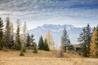 Auf diesem Bild zu sehen, ist ein Stück Wald mit einer kleinen Hütte, im Hintergrund die weißen Bergspitzen | © Alpbachtal Tourismus | Matthias Sedlak 