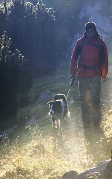 Ein Mann wandert mit seinem Hund gemeinsam durch das Rofangebirge  | © Alpbachtal Tourismus | C. Vorhofer 