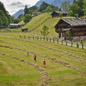 Eine Gruppe von Kindern läuft gemeinsam durch das Feld, neben den alten Bauernhäusern im Museum Tiroler Bauernhöfe  | © Alpbachtal Tourismus | Gabriele Grießenböck