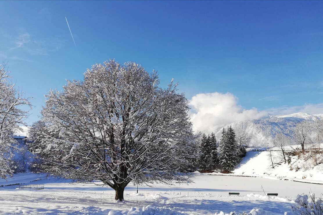 Reither See Winter