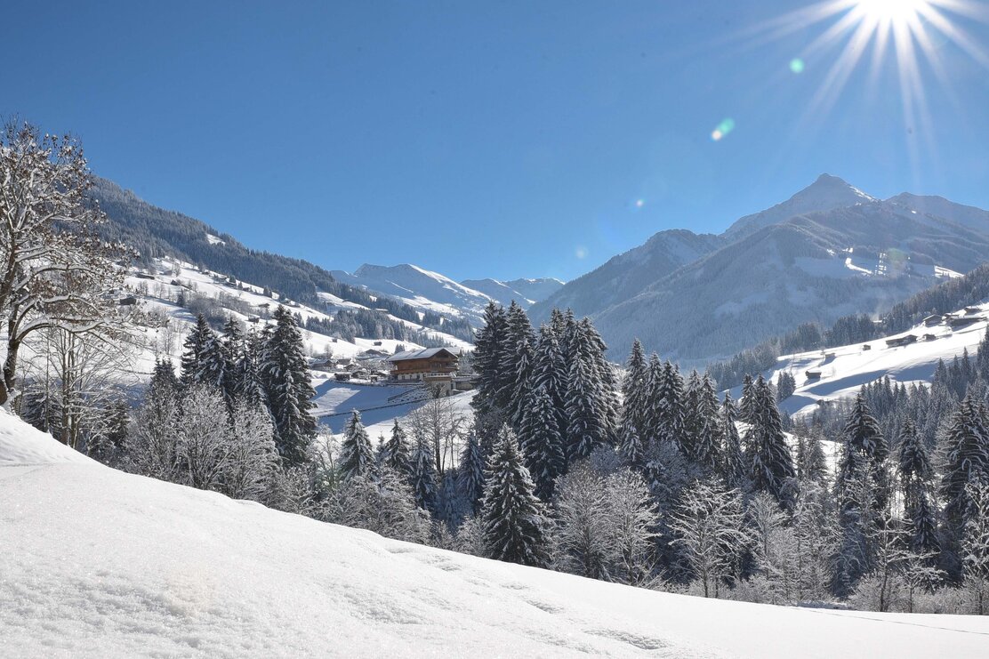 Alpbach Mittlerer Höhenweg | © Gabriele Grießenböck