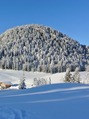 Winderlandschaft Reither Kogel