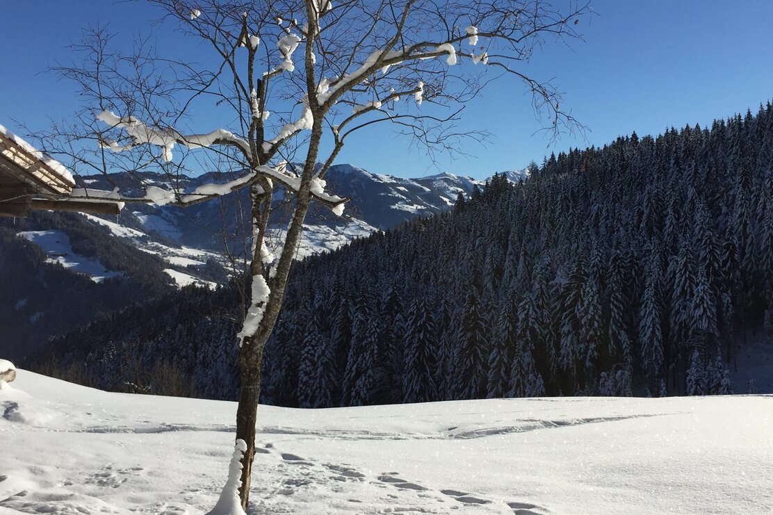 Winterwandern am Reither Kogel