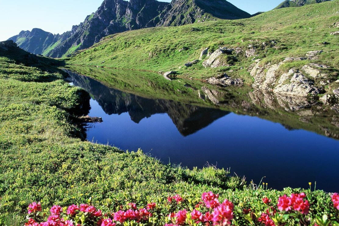 Bergsee Sagtaler Spitzen Almrosen