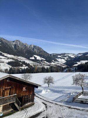 Ferienwohnung Thumerhof_Alpbachtal_Reith_8