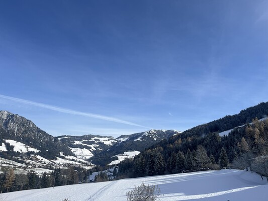 Ferienwohnung Thumerhof_Alpbachtal_Reith_7