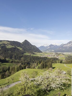 Sommer Pinzgerhof (1) | © Fam. Kammerlander