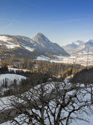 Ausblick vom Pinzgerhof im Winter | © Fam. Kammerlander