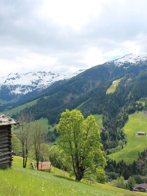 Blick taleinwärts | © Gasthof Roßmoos