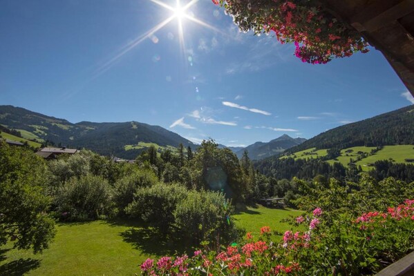 herrlicher Blick in die Berge