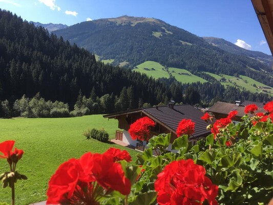 Blick Richtung Wiedersbergerhorn vom Balkon | © Fam. Hausberger