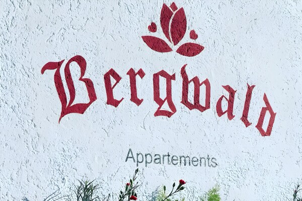 Bergwald Alpbach
