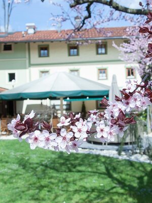 Garten beim Gasthof Schopper | © Seidl