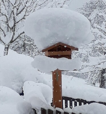 Gruberhof Alpbachtal