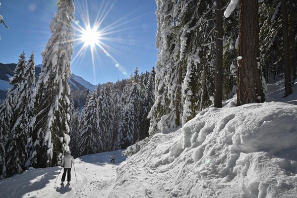 Skifahren Wiedersbergerhorn | © Alpbachtal Tourismus