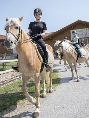 Kinder Ausritt mit den Haflingern | © Hotel Hauserwirt Münster