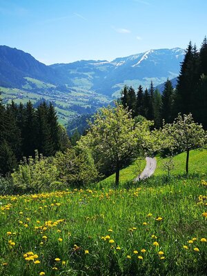 Bergfrühstück | © Stockerwirt