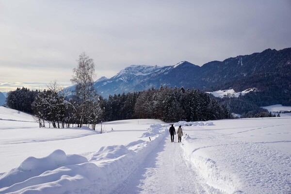 Winterspaziergang in Breitenbach_Alpbachtal Touris